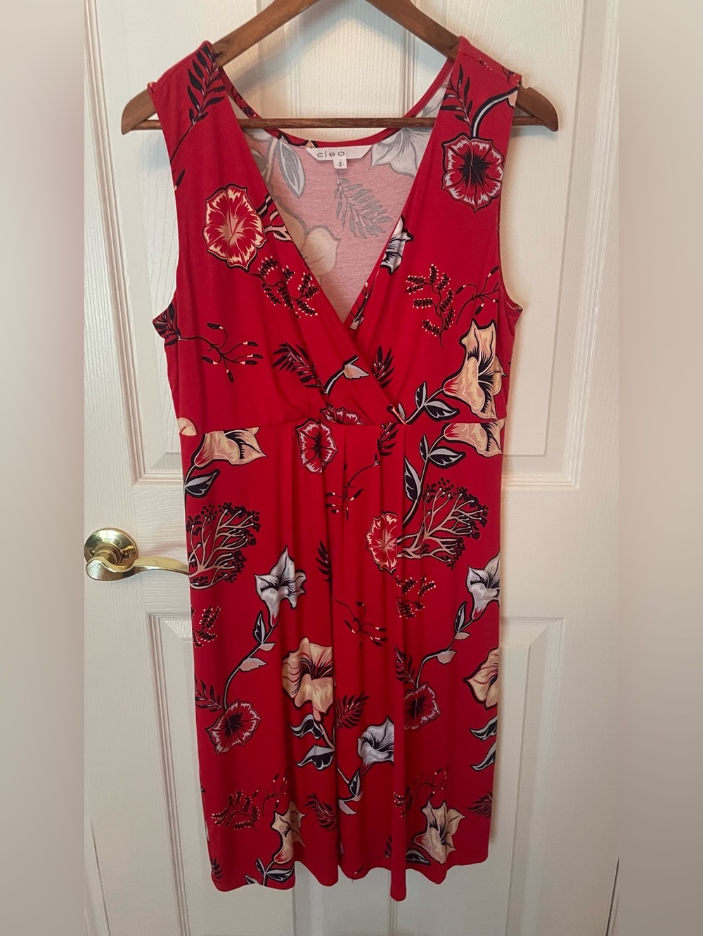 Cleo Sleeveless V neck dress